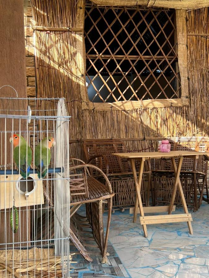Oasis Camp Hotel Bawati Exterior photo